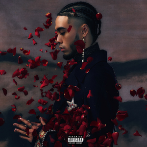 国产在线无码小视频
